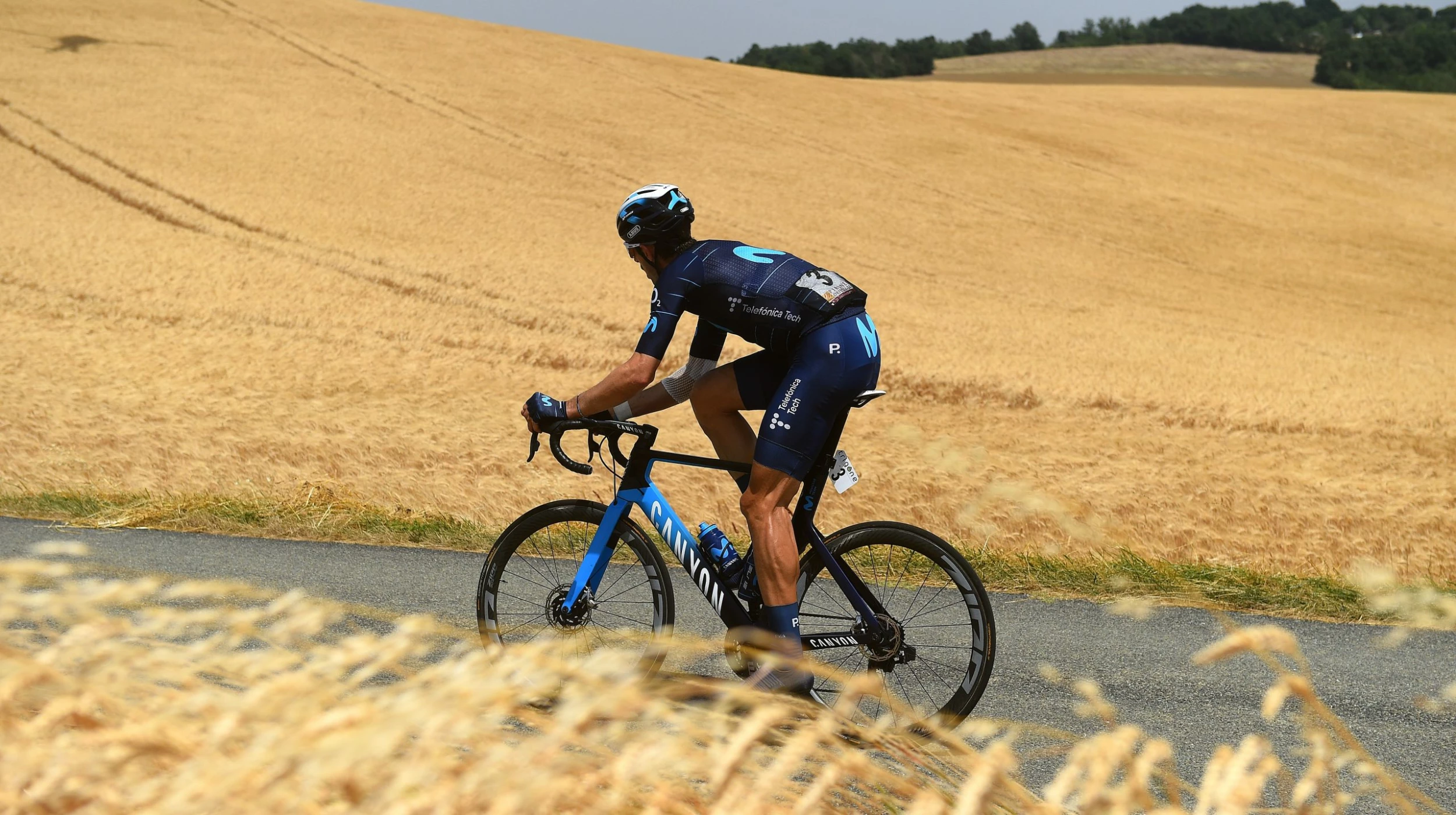 Cadre de vélo Boutique -Cadre de vélo Boutique 346554 scaled